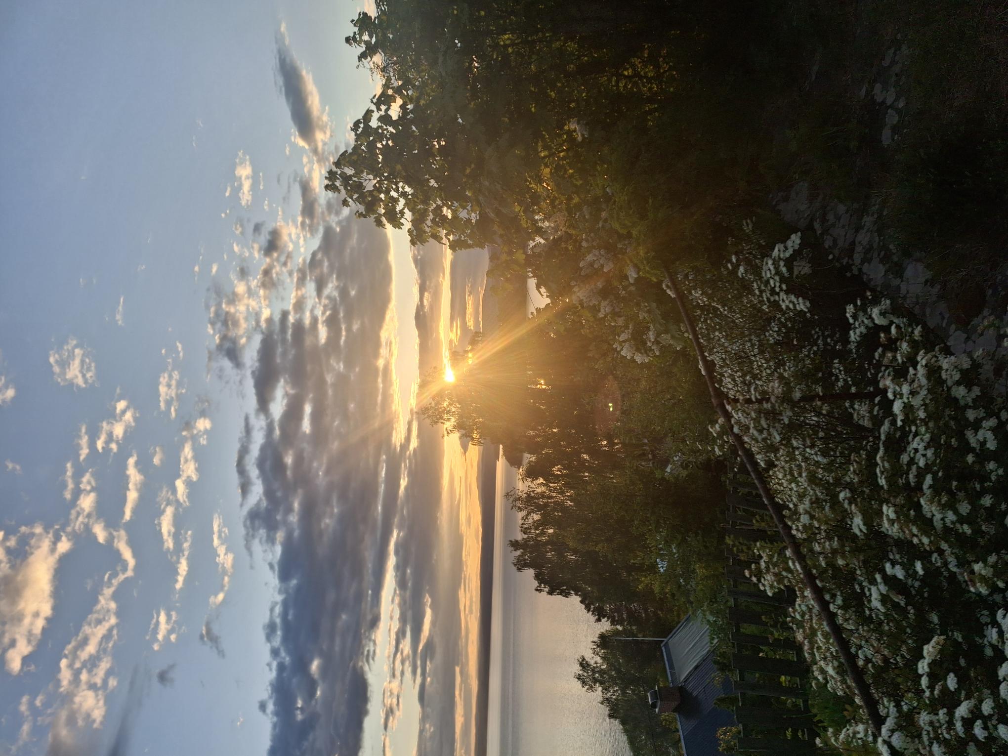 Skogsbilde med utsikt over sjø og solnedgang